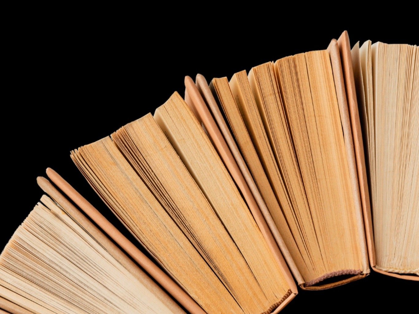 Estudos e Artigos