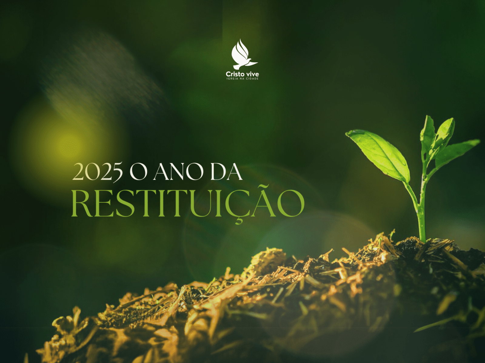 Ano da Restituição